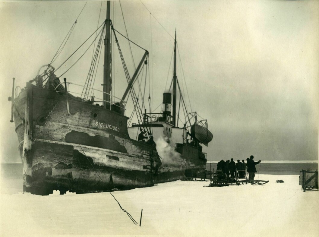 D/S «Siglufjord» ved iskanten ute i Kongsfjorden ved Ny-Ålesund våren 1918. Bildet er utlånt av Svalbard Museum.