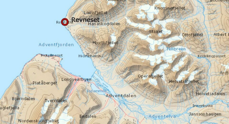 Det var på Revneset at en hund gikk til angrep på et reinsdyr.