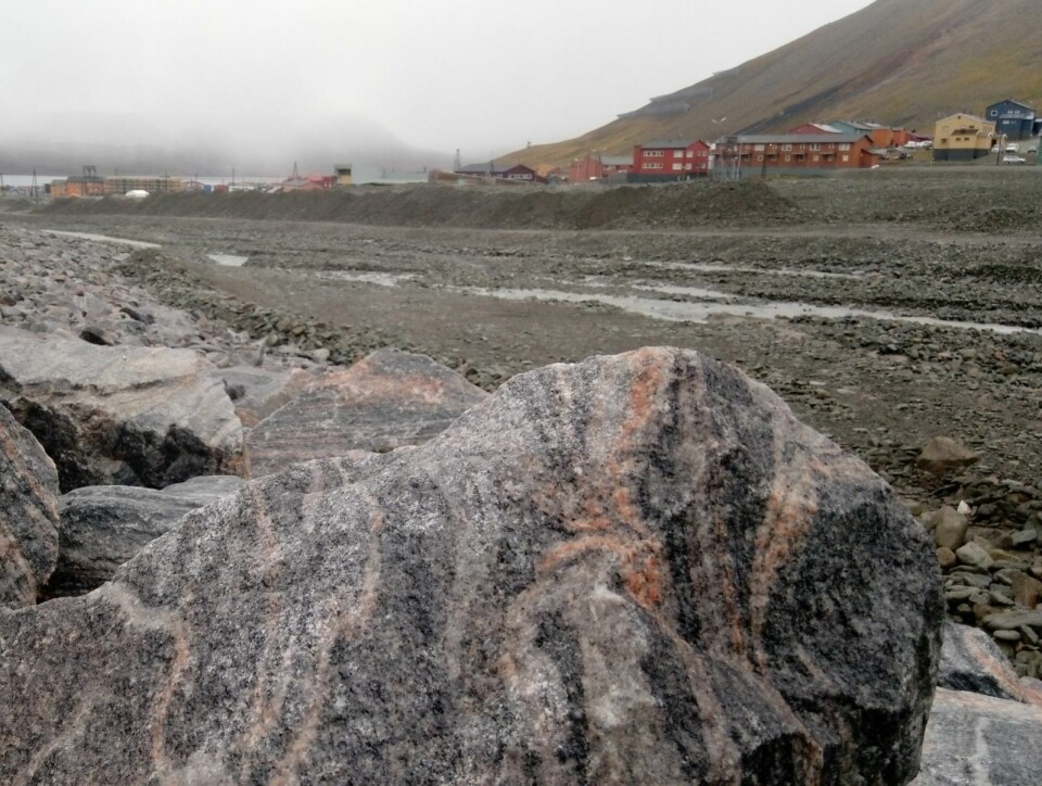 Finnmarkgneis fraktet og plassert i Longyearelva av mennesker.
