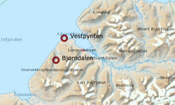 Isbjørnen ble observert på Vestpynten i dag tidlig klokken 6.30. Etter det har den lagt på svøm videre nordover. Isbjørnen ble observert på Vestpynten i dag tidlig klokken 6.30. Etter det har den lagt på svøm videre nordover.