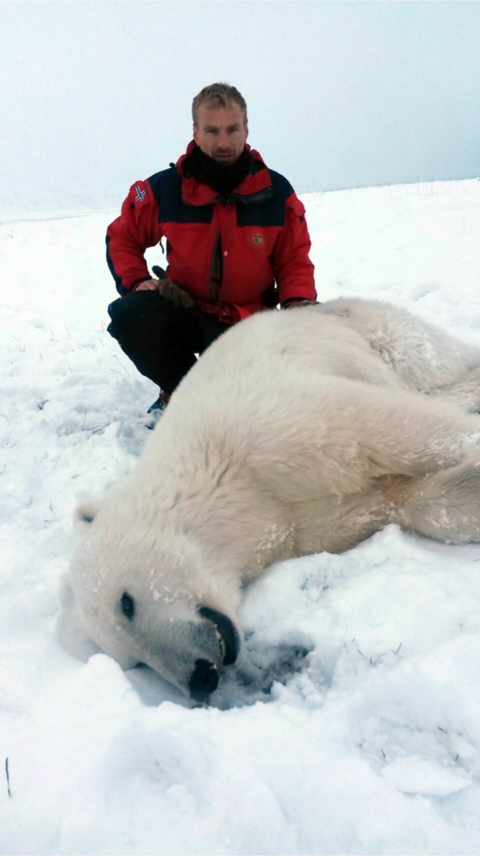 Rupert Krapp fra Norsk Polarinstitutt etter at isbjørnen er bedøvet. Bjørnen ble deretter fløyet til Nordaustlandet.