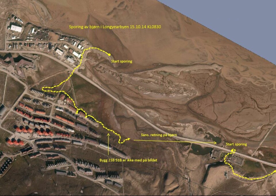 Sysselmannen har kartlagt isbjørnens vandring gjennom Longyearbyen. Sysselmannen har kartlagt isbjørnens vandring gjennom Longyearbyen.