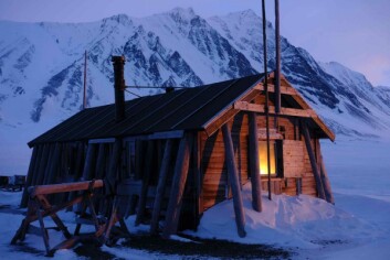 Damene overvintrer på Bamsebu, en 20 kvadratmeters hytte i Sør-Spitsbergen.
