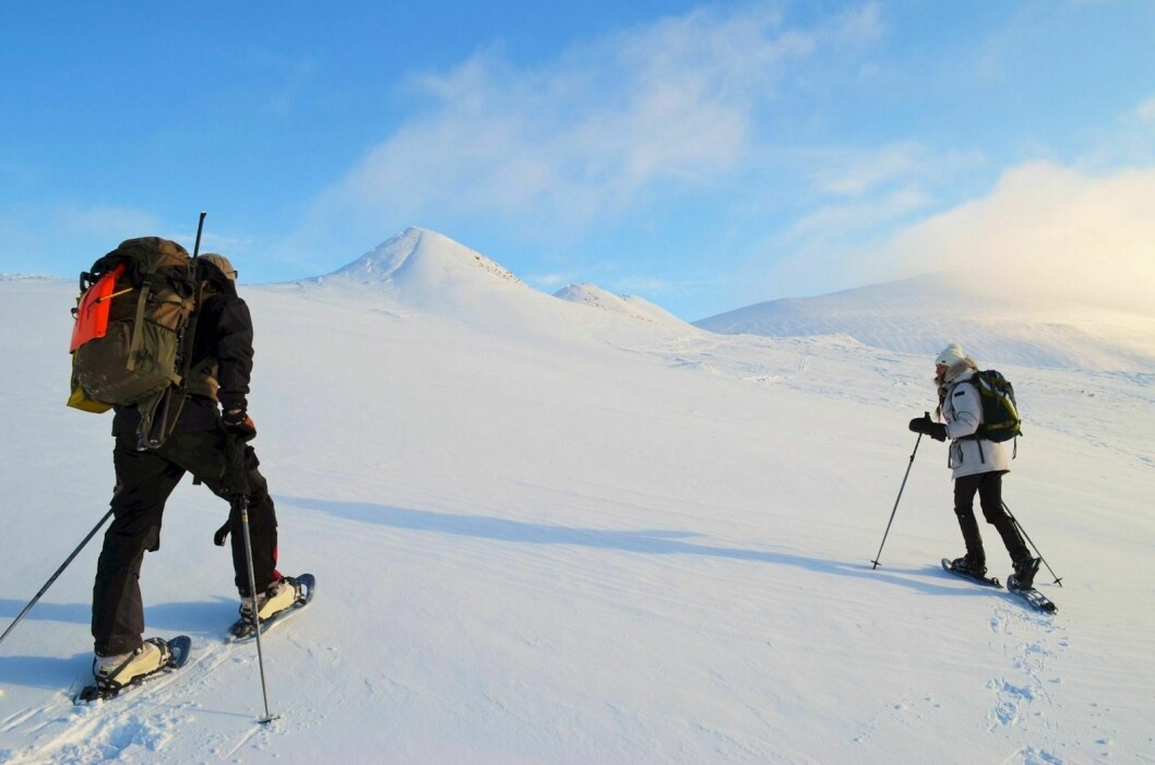 Artikkelforfatteren har skrevet masteroppgave om bærekraftig turisme og intervjuet folk som bor på Svalbard.