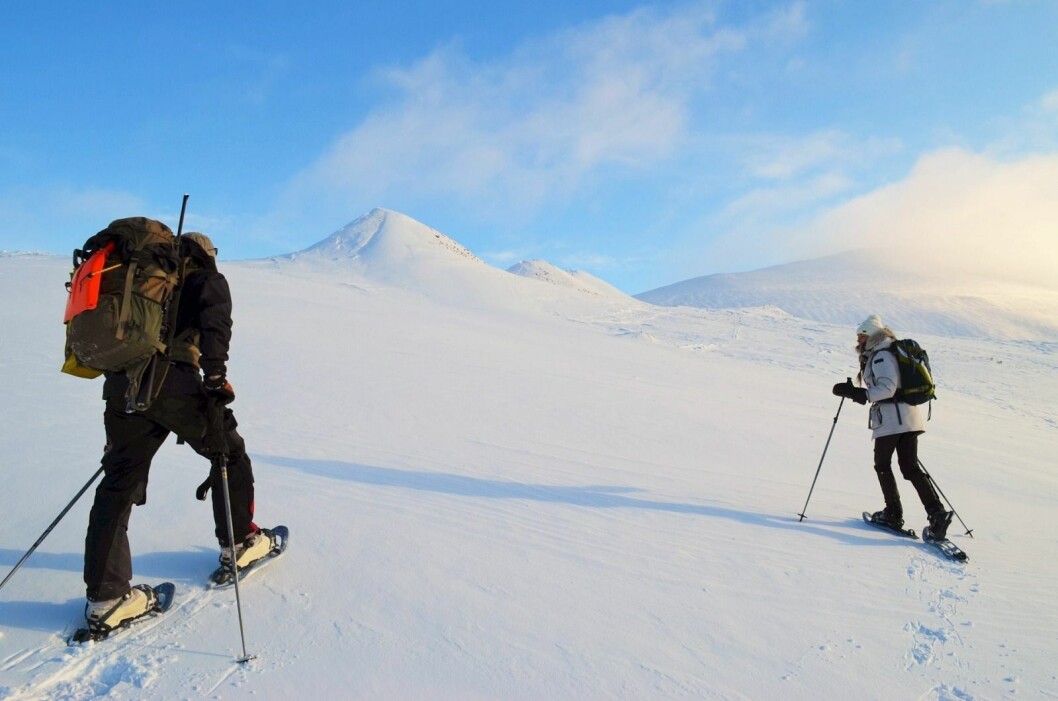 Artikkelforfatteren har skrevet masteroppgave om bærekraftig turisme og intervjuet folk som bor på Svalbard. Artikkelforfatteren har skrevet masteroppgave om bærekraftig turisme og intervjuet folk som bor på Svalbard.