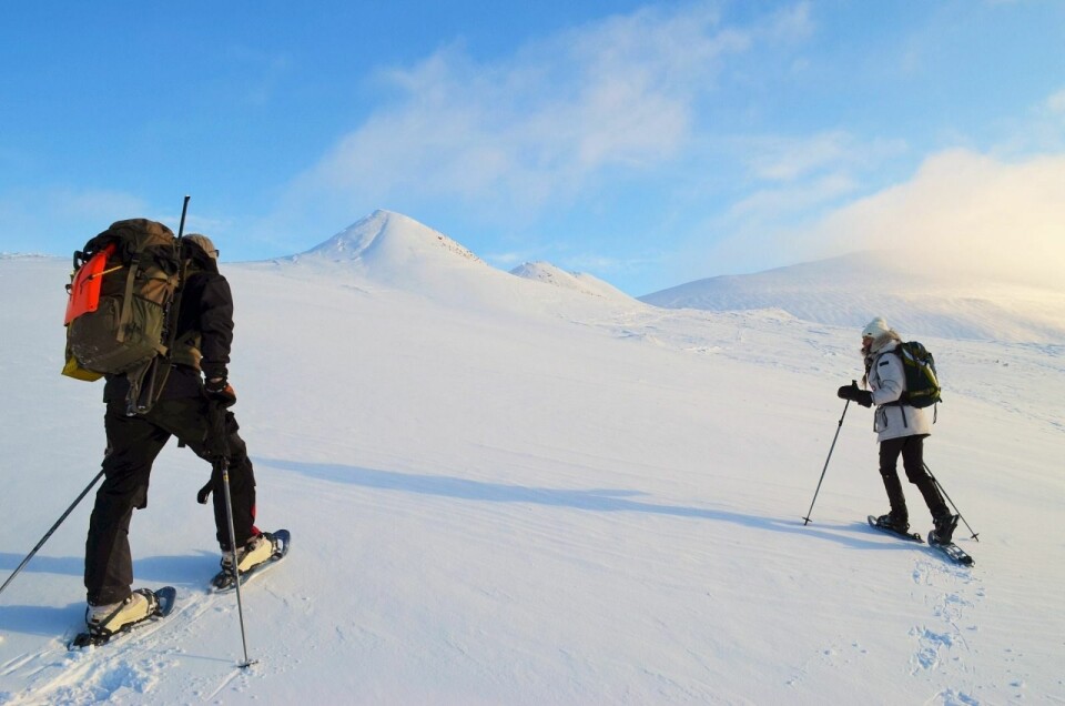 Artikkelforfatteren har skrevet masteroppgave om bærekraftig turisme og intervjuet folk som bor på Svalbard.