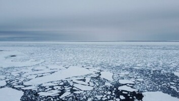 HAVISEN KOMMER: Isen har pakket seg rundt Bjørnøya den siste uka. Foto: Frank Andreas Amdal HAVISEN KOMMER: Isen har pakket seg rundt Bjørnøya den siste uka. Foto: Frank Andreas Amdal