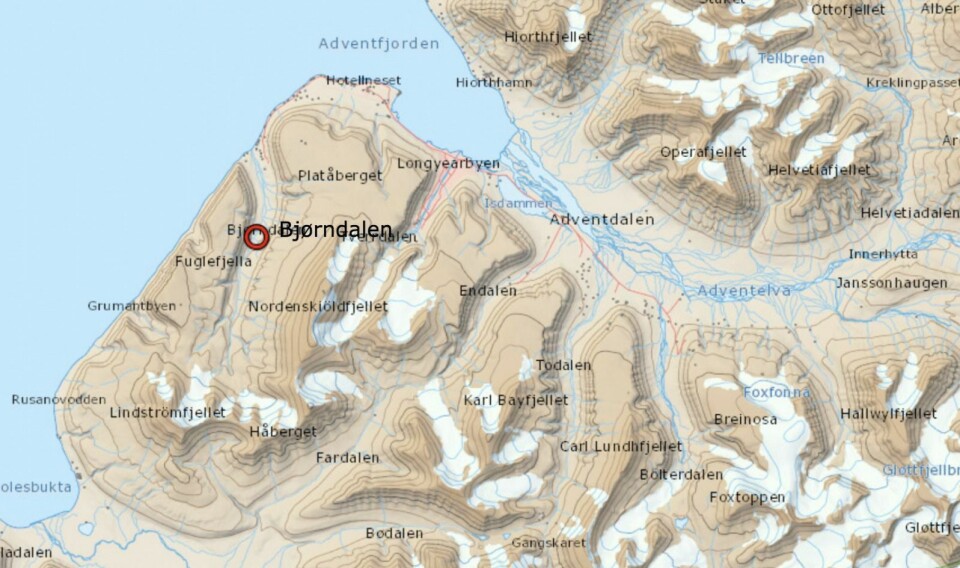 Sysselmannen jobber med å få kontroll på en isbjørn i Bjørndalen mandag ettermiddag. Sysselmannen jobber med å få kontroll på en isbjørn i Bjørndalen mandag ettermiddag.