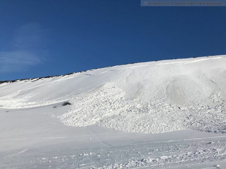Dette bildet av skredet er lagt ut på Regobs. Dette bildet av skredet er lagt ut på Regobs.