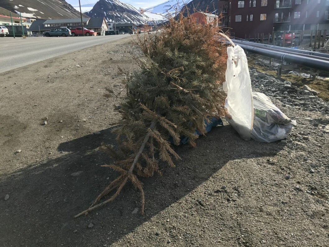 Store mengder søppel ble samlet opp i løpet av et par dugnadstimer. Store mengder søppel ble samlet opp i løpet av et par dugnadstimer.