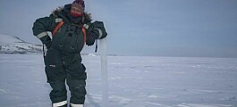 2020; et godt sjøisår for Svalbard?