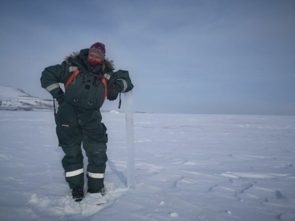 Sjøisen i Mohnbukta vokste enda i tykkelse den 11. mai. Her poserer Vanessa Pitusi, forskningsassistent ved UNIS, med en prøve av den tykkeste sjøisen vi observerte i år: 133 cm. Samtidig som dette bildet ble tatt tok UNIS prøver i Adventfjorden hvor algeoppblomstringen og våren var i full sving. Sjøisen i Mohnbukta vokste enda i tykkelse den 11. mai. Her poserer Vanessa Pitusi, forskningsassistent ved UNIS, med en prøve av den tykkeste sjøisen vi observerte i år: 133 cm. Samtidig som dette bildet ble tatt tok UNIS prøver i Adventfjorden hvor algeoppblomstringen og våren var i full sving.