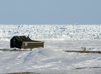 NÆRKONTAKT: Isbjørn nærmer seg hytte.