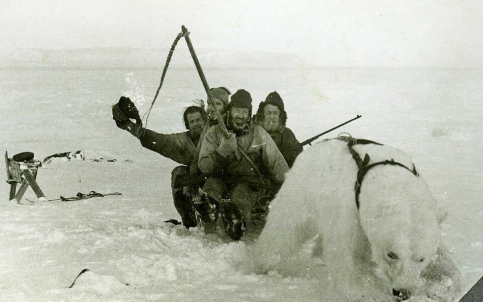 Fangstmenn med glimt i auga. Bjåen-karane bak ein stivfrosen isbjørn som har falle for sjølvskot i 1948. Fangstmenn med glimt i auga. Bjåen-karane bak ein stivfrosen isbjørn som har falle for sjølvskot i 1948.