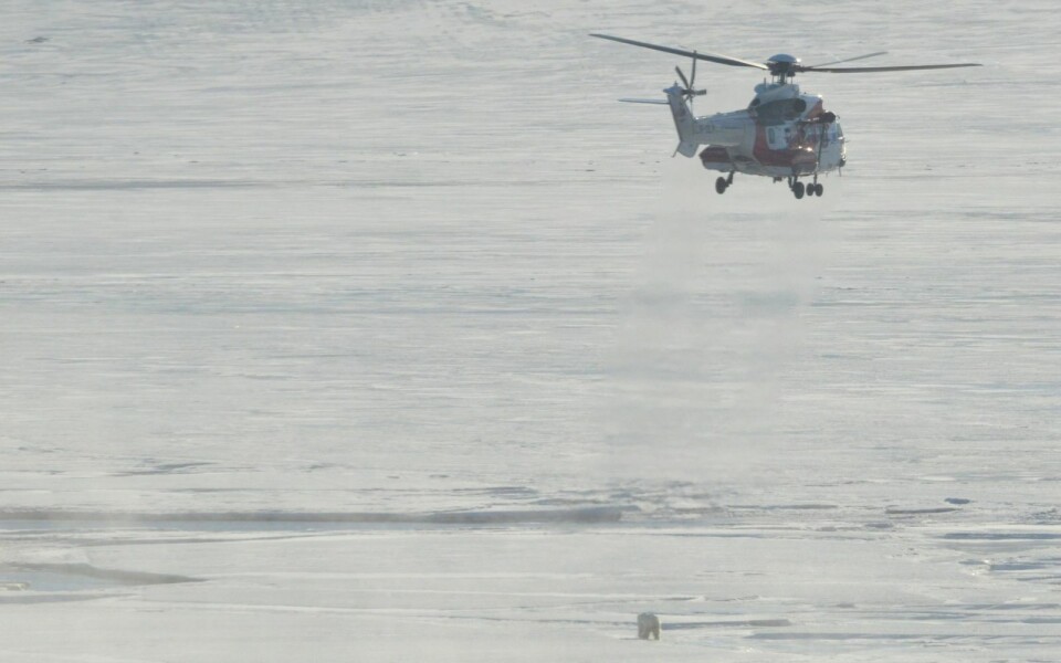 Fra et isbjørnbesøk i Adventdalen i mai 2019. Denne ble jaget bort, og ikke immobilisert. Den snudde ikke før den nærmet seg SSU, og Sysselmannens helikopter kom og jaget den ut mot Revneset. De fulgte den deretter med båt til den passerte Deltaneset. Fra et isbjørnbesøk i Adventdalen i mai 2019. Denne ble jaget bort, og ikke immobilisert. Den snudde ikke før den nærmet seg SSU, og Sysselmannens helikopter kom og jaget den ut mot Revneset. De fulgte den deretter med båt til den passerte Deltaneset.