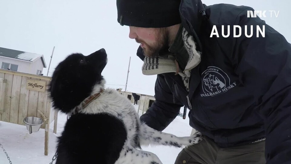 Mia og Audun Salte i dokumentarserien Innafor på NRK. Fra mandag denne uken kan episoden, som heter 100 dager, sees på NRK nett-TV.