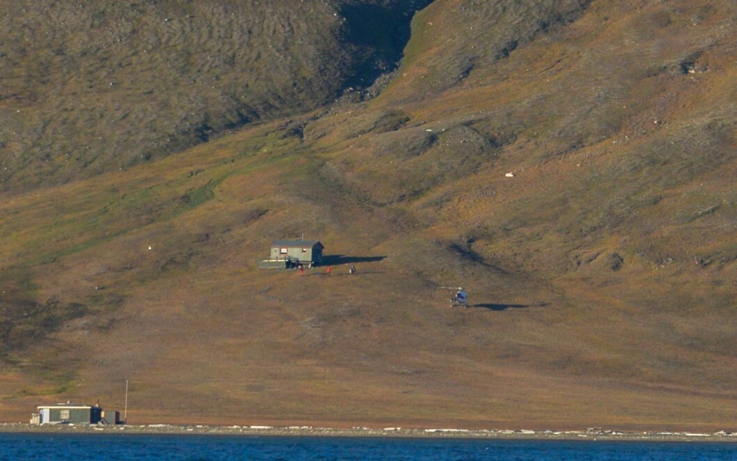 Folk fra Norsk Polarinstitutt med veterinær er på Hiorthhamn ved isbjørnbinna og ungen. De skal immobiliseres og flyttes ved hjelp av Sysselmannens helikopter. Folk fra Norsk Polarinstitutt med veterinær er på Hiorthhamn ved isbjørnbinna og ungen. De skal immobiliseres og flyttes ved hjelp av Sysselmannens helikopter.