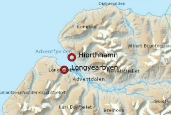 En isbjørn er observert i Hiorthhamn onsdag formiddag.