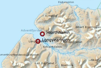 En isbjørn er observert i Hiorthhamn onsdag formiddag. En isbjørn er observert i Hiorthhamn onsdag formiddag.