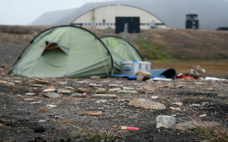 Det lå hylster mellom teltet og hovedbygget på campingen, etter at isbjørnen ble skutt på.