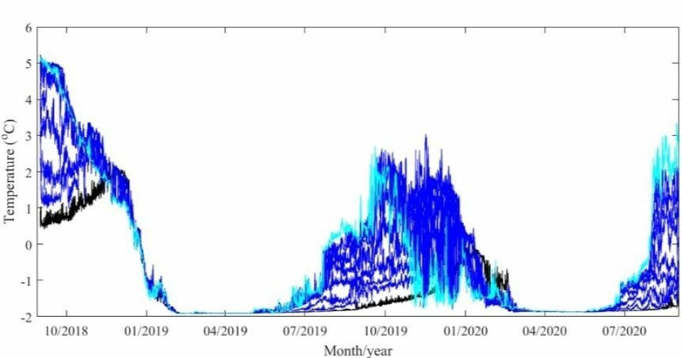 Temperatur i Rijpfjorden fra September 2018 til September 2020. Sort linje fra bunnen, lysgrønn fra overflaten og de blå linjene fra vannkolonnen. Sommeren og høsten 2019 var betydelig kaldere enn 2018. Temperatur i Rijpfjorden fra September 2018 til September 2020. Sort linje fra bunnen, lysgrønn fra overflaten og de blå linjene fra vannkolonnen. Sommeren og høsten 2019 var betydelig kaldere enn 2018.