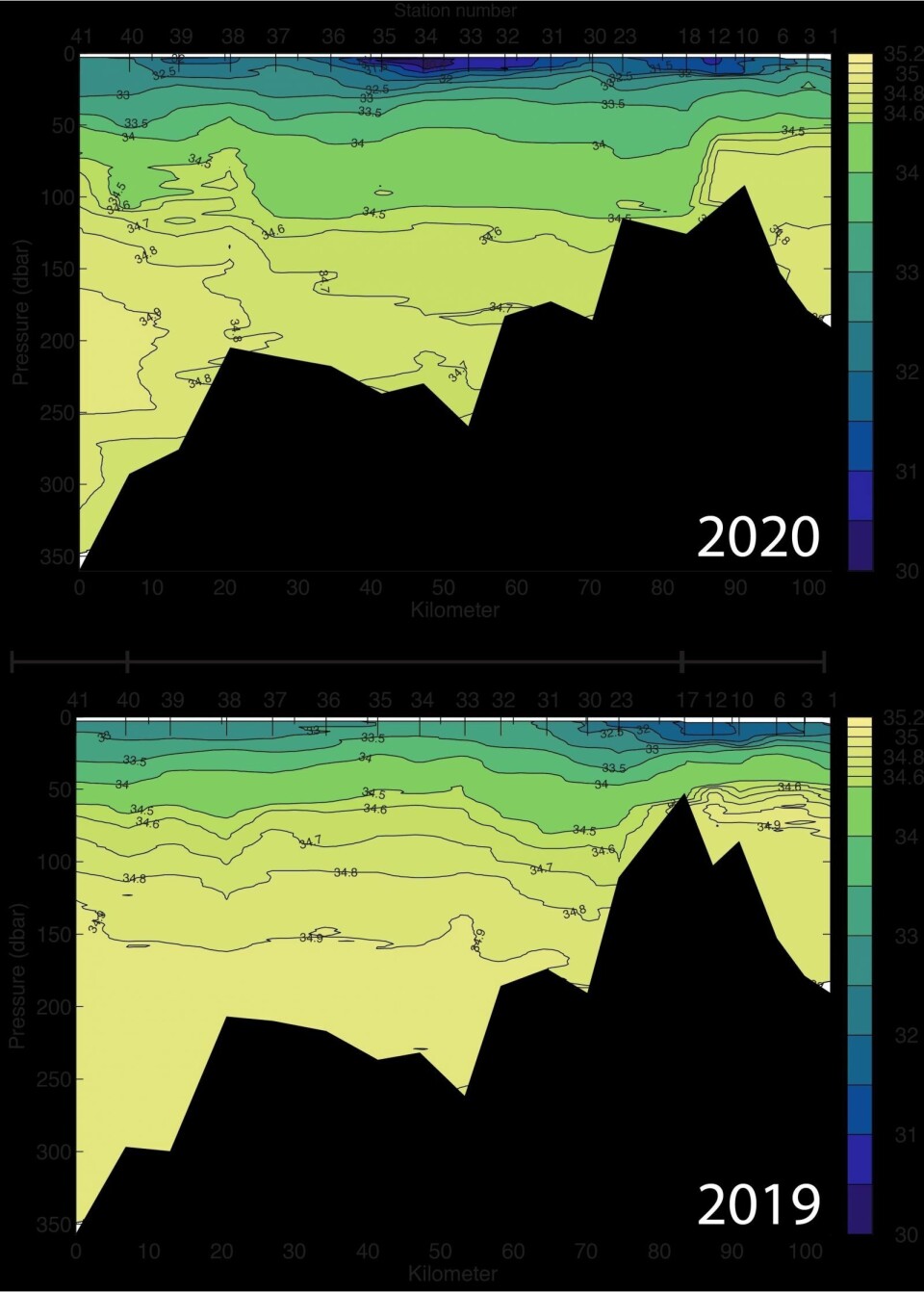 Figur 1: Saltholdighet i Isfjorden fra høsten 2020 (øverst) og høsten 2019 (nederst). Stasjon 41 (til venstre) ligger ved munningen av Isfjorden, nær Isfjord Radio. Stasjon 1 (til høyre) ligger i Adolfbukta innerst i Billefjorden. Figur 1: Saltholdighet i Isfjorden fra høsten 2020 (øverst) og høsten 2019 (nederst). Stasjon 41 (til venstre) ligger ved munningen av Isfjorden, nær Isfjord Radio. Stasjon 1 (til høyre) ligger i Adolfbukta innerst i Billefjorden.