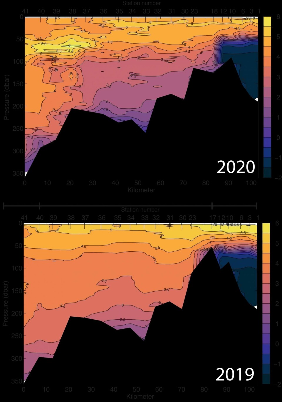Figur 2: Temperatur i Isfjorden fra høsten 2020 (øverst) og høsten 2019 (nederst). Stasjon 41 (til venstre) ligger ved munningen av Isfjorden, nær Isfjord Radio. Stasjon 1 (til høyre) ligger i Adolfbukta innerst i Billefjorden.