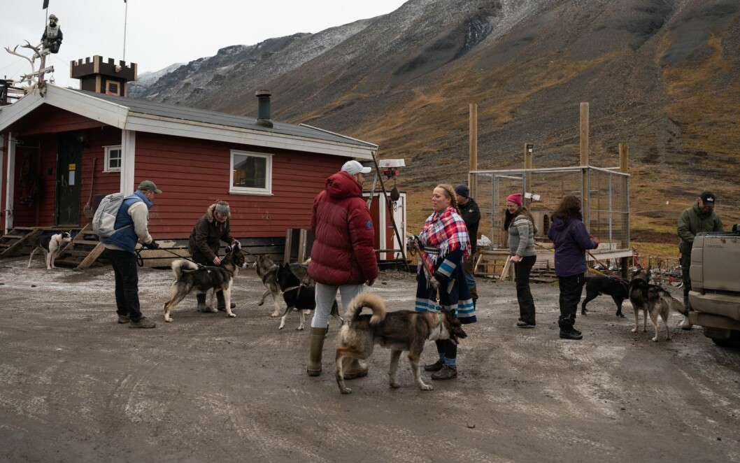 Green Dog arrangerte et pensjonisttreff i helgen, hvor eiere som har adoptert hunder og hundene selv fikk sosialisere. Green Dog arrangerte et pensjonisttreff i helgen, hvor eiere som har adoptert hunder og hundene selv fikk sosialisere.