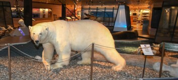 Svalbard Museum får ekstra penger