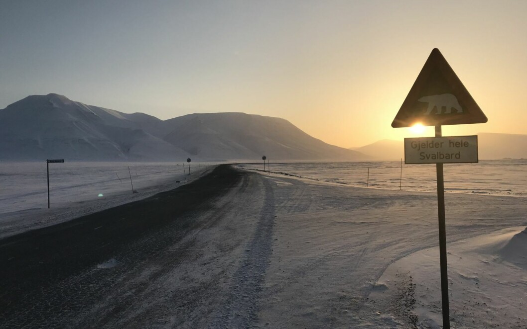 TURISTMOTIV: Turistene fortsetter å sige inn. Forresten er et av de mest populære fotomotivene for de tilreisende, fareskiltet i Adventdalen kommet opp igjen etter at det forrige ble stjålet for noen uker siden. TURISTMOTIV: Turistene fortsetter å sige inn. Forresten er et av de mest populære fotomotivene for de tilreisende, fareskiltet i Adventdalen kommet opp igjen etter at det forrige ble stjålet for noen uker siden.