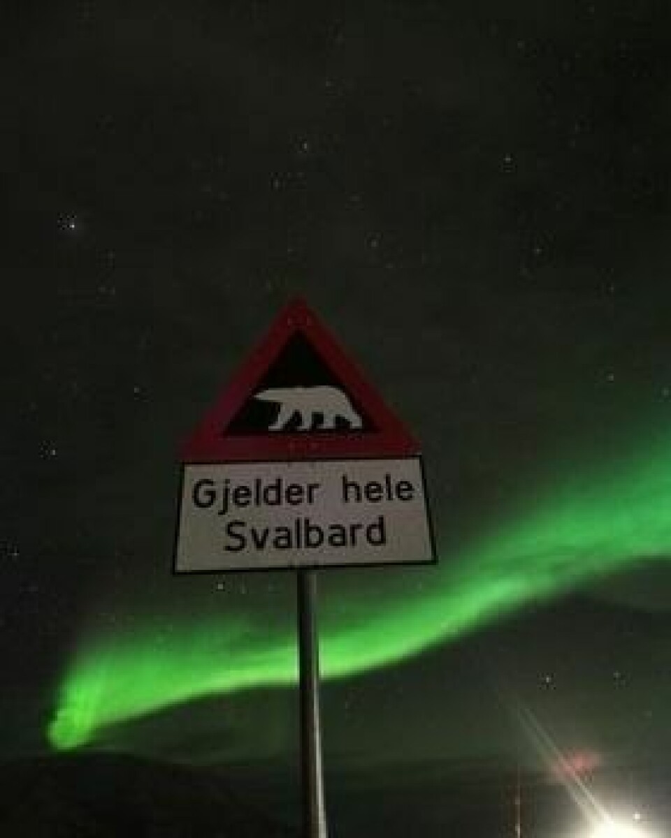 Odd Rune Noor har tatt dette bildet av isbjørnskiltet.
