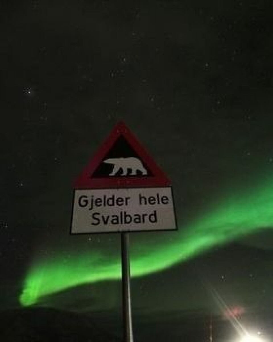 Odd Rune Noor har tatt dette bildet av isbjørnskiltet. Odd Rune Noor har tatt dette bildet av isbjørnskiltet.