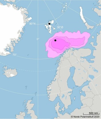 Vinterutbredelsen (november til januar) til havhest fra to kolonier på Svalbard (Bjørnøya og Alkefjellet; svarte prikker i kartet). Havhestene fra Svalbard er gitt rosa farge og overvintrer i Barentshavet. Kilde: SEATRACK (<a class="nf-o-link" href="http://www.seapop.no/en/seatrack/" target="_blank">http://www.seapop.no/en/seatrack/</a>) Vinterutbredelsen (november til januar) til havhest fra to kolonier på Svalbard (Bjørnøya og Alkefjellet; svarte prikker i kartet). Havhestene fra Svalbard er gitt rosa farge og overvintrer i Barentshavet. Kilde: SEATRACK (<a class="nf-o-link" href="http://www.seapop.no/en/seatrack/" target="_blank">http://www.seapop.no/en/seatrack/</a>)