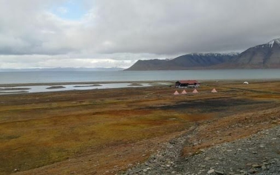 SIKKERHET: Longyearbyen Camping skal få isbjørn-radar, melder nyhetsbyrået Reuters. SIKKERHET: Longyearbyen Camping skal få isbjørn-radar, melder nyhetsbyrået Reuters.