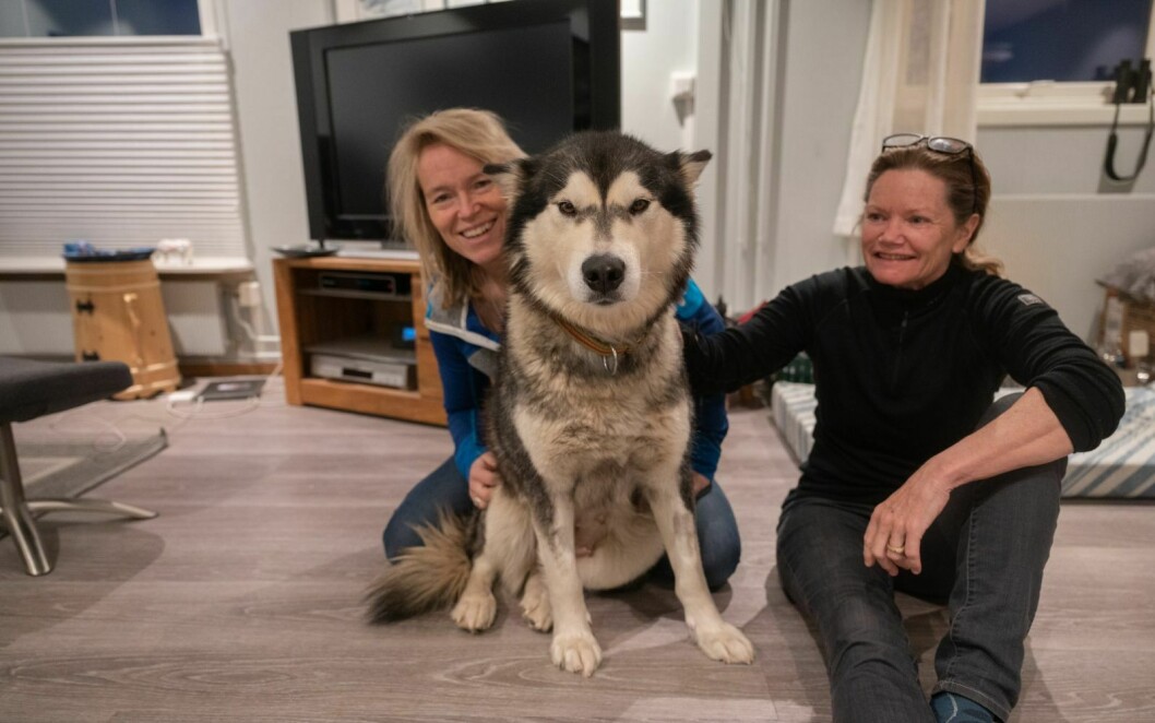 Hilde Fålun Strøm, Sunniva Sørby og hunden Ettra skulle ha vært på Bamsebu for to uker siden. Men Ettra ble akutt syk, og turen måtte utsettes. Nå er de glade for at de kunne ringe til en veterinær som var tilgjengelig.