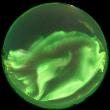 Nattnordlys med dominerende grønt nordlys sett fra Kjell Henriksen Observatoriet ved Longyearbyen.