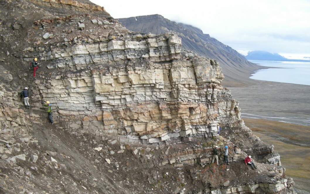 Unis-studenter logger en bratt skråstilt blotning med sandsteiner og skifre fra Helvetiafjellformasjonen på Ullaberget i Van Keulenfjorden, like over Annahamna. Her finner vi også dinosaurspor. Unis-studenter logger en bratt skråstilt blotning med sandsteiner og skifre fra Helvetiafjellformasjonen på Ullaberget i Van Keulenfjorden, like over Annahamna. Her finner vi også dinosaurspor.
