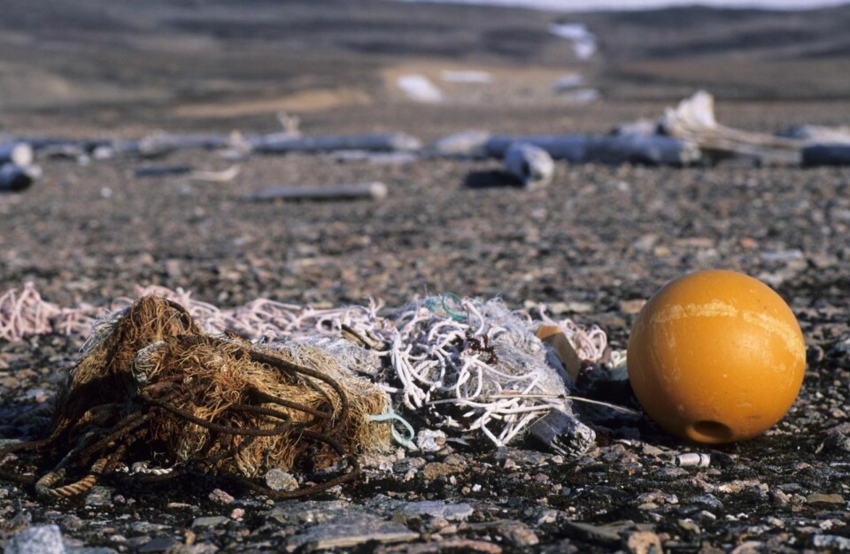 Langs fjæra reker det i land plastsøppel.