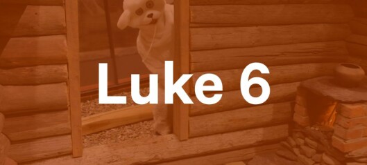Luke 6