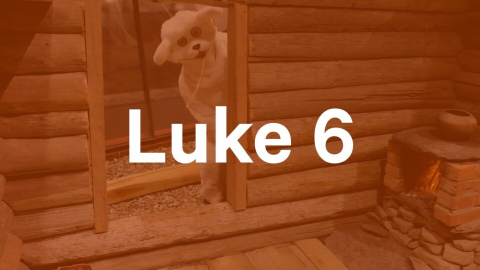 Luke 6