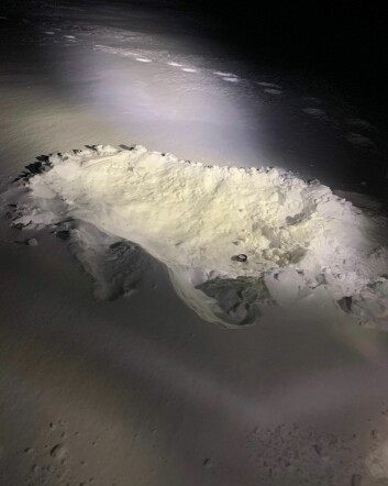 Denne liggegropen ble sett like i nærheten av isbjørnsporene. Snusboks i gropen for størrelse-sammenligning.