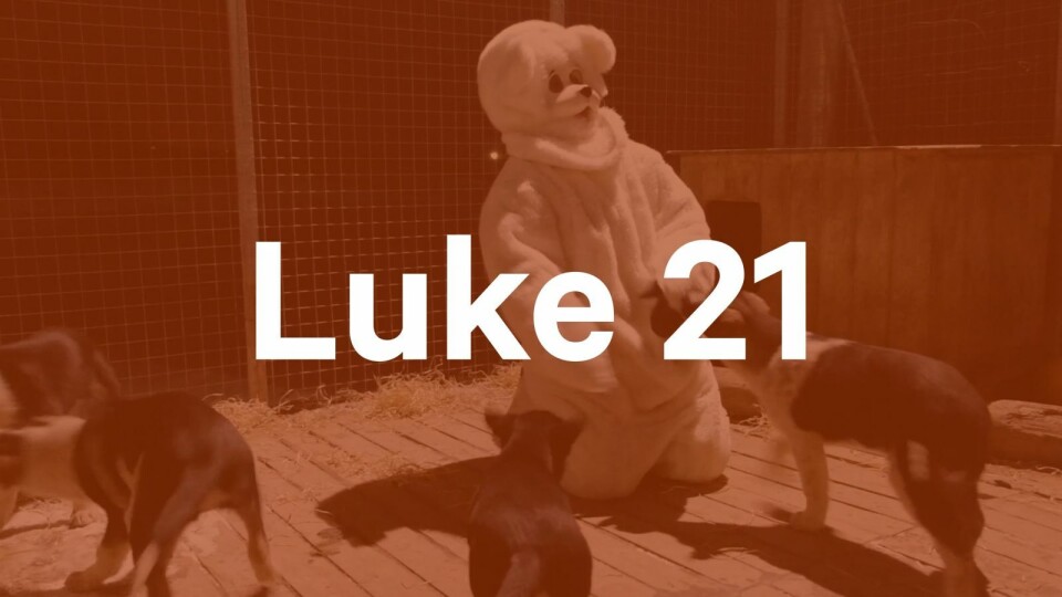 Luke 21