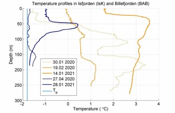 Temperaturplott: Sjøtemperaturen på Karlskronadjupet rett utenfor Adventfjorden (oransje farge) og i Adolfbukta innerst i Billefjorden (blå farge), i januar og februar 2020 og i januar 2021. Den lave sjøtemperaturen i Billefjorden i april 2020 forklarer hvorfor det var 80-90 cm tykk sjøis der i fjor. Den stiplete lyseblå vertikale linja viser frysepunktet for sjøvann. I år er sjøtemperaturen opp mot 3 grader varmere i overflatevannet enn på samme tid i fjor.