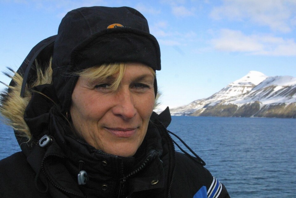 Marinbiolog Kit Kovacs ved Norsk Polarinstitutt har fulgt hvalrossens utvikling siden 90-tallet. Nå er hun utpekt som en av verdens ledende i sitt felt. Marinbiolog Kit Kovacs ved Norsk Polarinstitutt har fulgt hvalrossens utvikling siden 90-tallet. Nå er hun utpekt som en av verdens ledende i sitt felt.