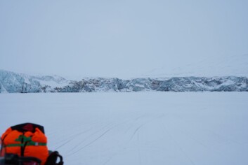 <strong class="nf-o-text--strong">Stille forrige helg:</strong> Mohnbukta forrige helg. Da var det ingen tegn eller spor etter isbjørn. <strong class="nf-o-text--strong">Stille forrige helg:</strong> Mohnbukta forrige helg. Da var det ingen tegn eller spor etter isbjørn.