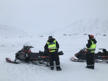Folk fra Sysselmannen er på plass i Todalen. De fant bjørnen og skal presse den ut av området. Folk fra Sysselmannen er på plass i Todalen. De fant bjørnen og skal presse den ut av området.