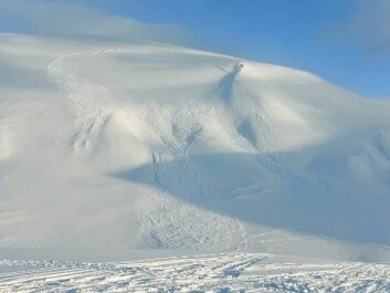 <strong class="nf-o-text--strong">Snøskred:</strong> Det var et stort skred som ble utløst i Fritham. Ingen ble tatt. <strong class="nf-o-text--strong">Snøskred:</strong> Det var et stort skred som ble utløst i Fritham. Ingen ble tatt.