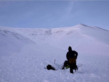 Det har gått to store snøskred på østsiden av Fardalen.