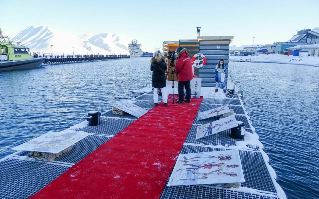 EKSPONERING: Rød løper og TV-team ved Svalbad under solfestuka. Den flytende badstuen gir positiv oppmerksomhet til Longyearbyen, mener myndighetene.