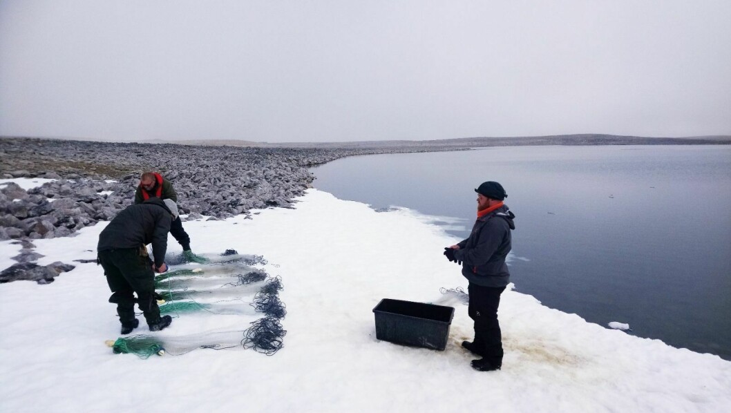 Røyejakt: Forskere gjør seg klar for prøvefiske på gammelmåten.